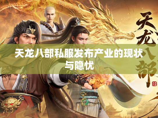 天龙八部私服发布产业的现状与隐忧  第2张