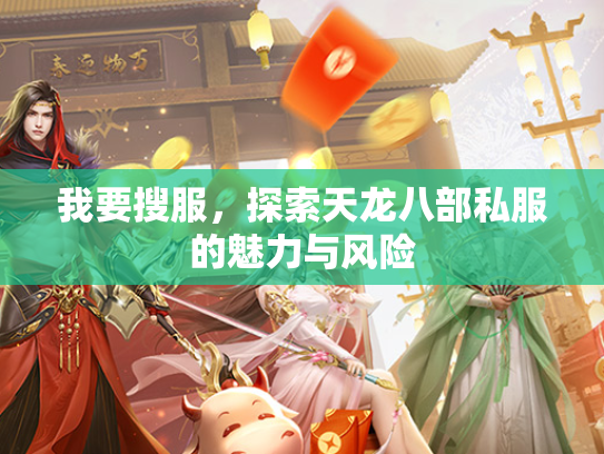 我要搜服，探索天龙八部私服的魅力与风险  第2张