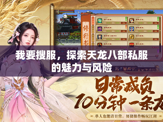我要搜服，探索天龙八部私服的魅力与风险  第1张