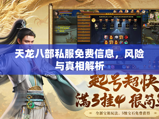 天龙八部私服免费信息，风险与真相解析  第2张