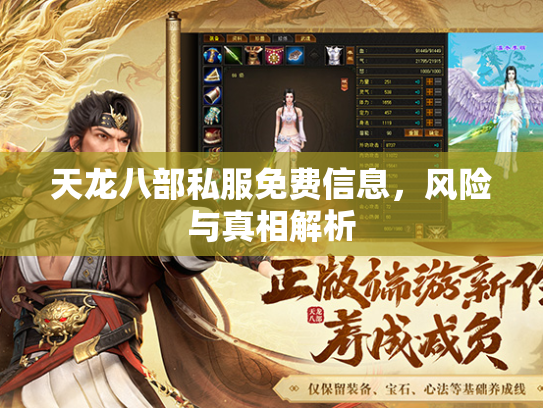 天龙八部私服免费信息，风险与真相解析  第3张