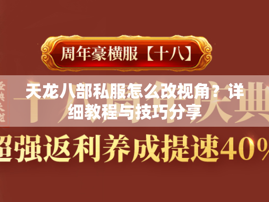 天龙八部私服怎么改视角？详细教程与技巧分享  第3张