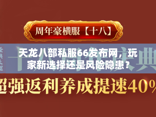 天龙八部私服66发布网，玩家新选择还是风险隐患？  第1张