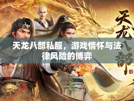 天龙八部私服，游戏情怀与法律风险的博弈  第2张