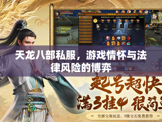 天龙八部私服，游戏情怀与法律风险的博弈  第1张