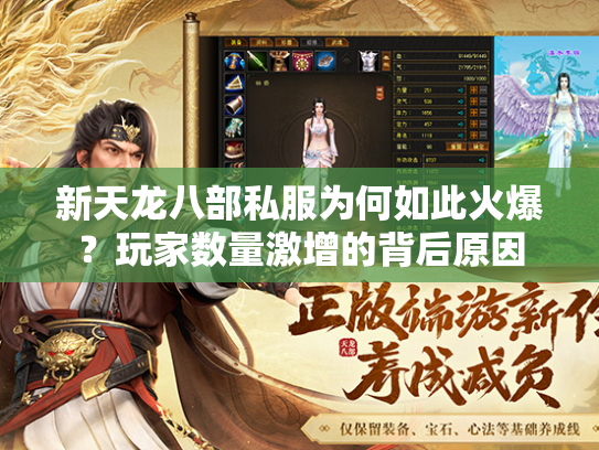 新天龙八部私服为何如此火爆？玩家数量激增的背后原因  第2张