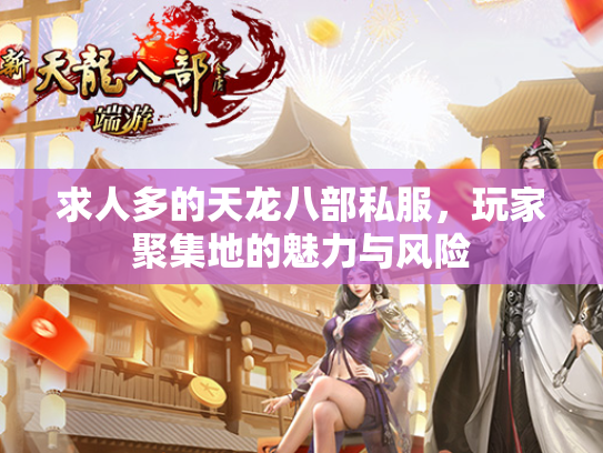 求人多的天龙八部私服，玩家聚集地的魅力与风险  第2张