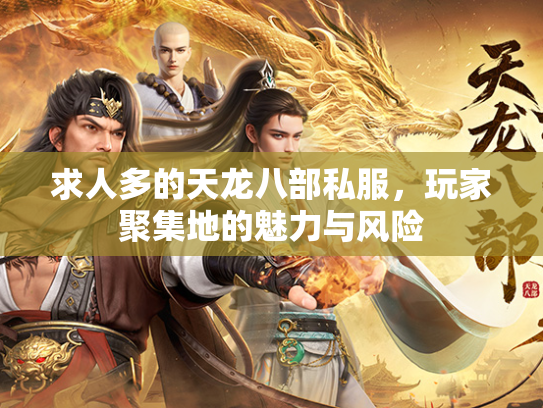 求人多的天龙八部私服，玩家聚集地的魅力与风险  第3张