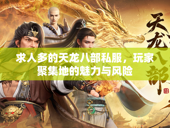 求人多的天龙八部私服，玩家聚集地的魅力与风险  第1张