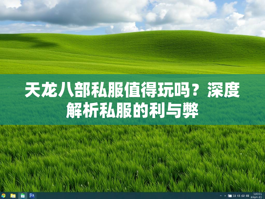 天龙八部私服值得玩吗？深度解析私服的利与弊  第2张