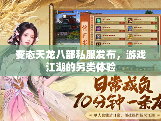 变态天龙八部私服发布，游戏江湖的另类体验  第2张