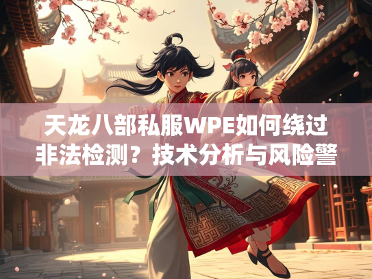 天龙八部私服WPE如何绕过非法检测？技术分析与风险警示