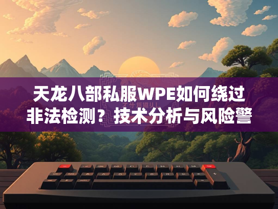 天龙八部私服WPE如何绕过非法检测？技术分析与风险警示