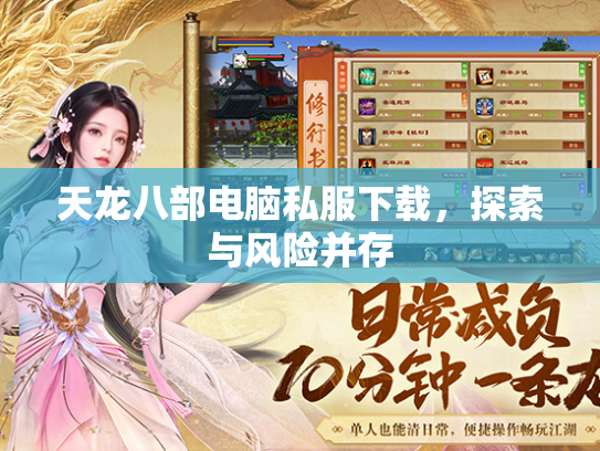 天龙八部电脑私服下载，探索与风险并存  第3张