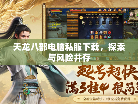 天龙八部电脑私服下载，探索与风险并存  第1张