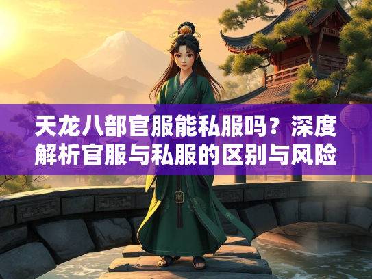 天龙八部官服能私服吗？深度解析官服与私服的区别与风险  第1张