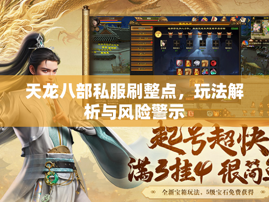 天龙八部私服刷整点，玩法解析与风险警示  第2张