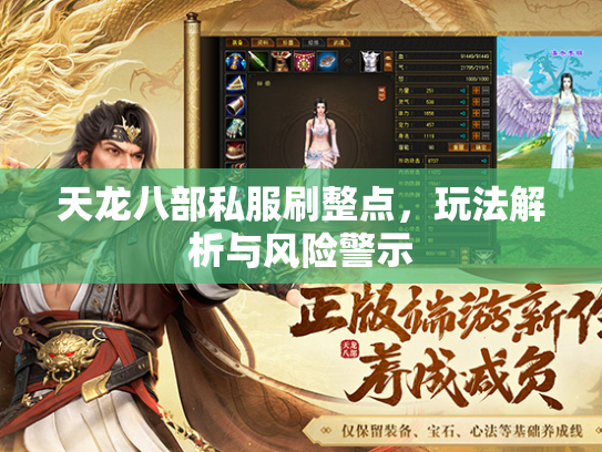 天龙八部私服刷整点，玩法解析与风险警示  第1张