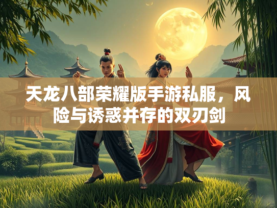 天龙八部荣耀版手游私服，风险与诱惑并存的双刃剑  第2张