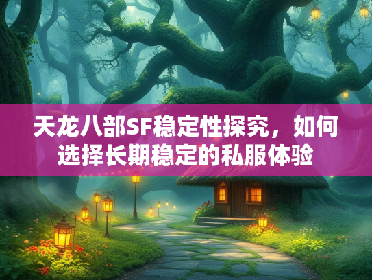 天龙八部SF稳定性探究，如何选择长期稳定的私服体验  第3张
