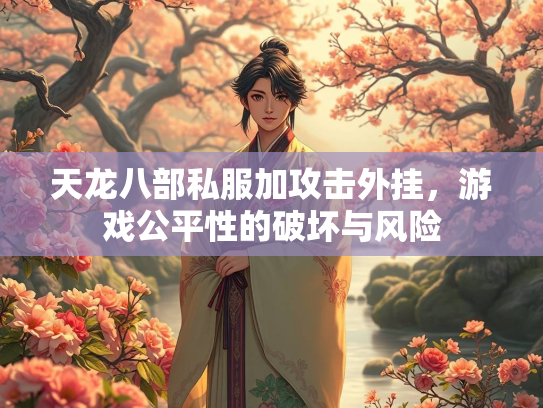 天龙八部私服加攻击外挂，游戏公平性的破坏与风险  第1张