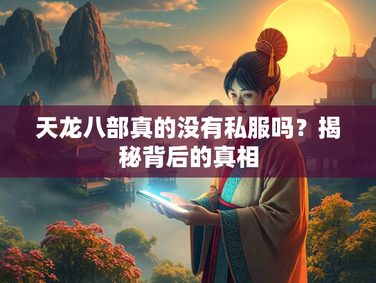天龙八部真的没有私服吗？揭秘背后的真相  第2张