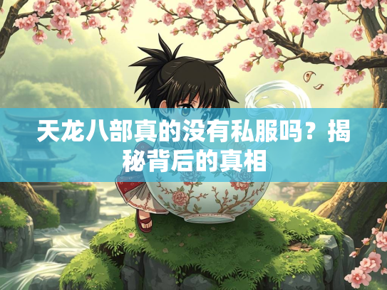 天龙八部真的没有私服吗？揭秘背后的真相  第3张