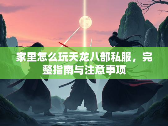 家里怎么玩天龙八部私服，完整指南与注意事项  第2张
