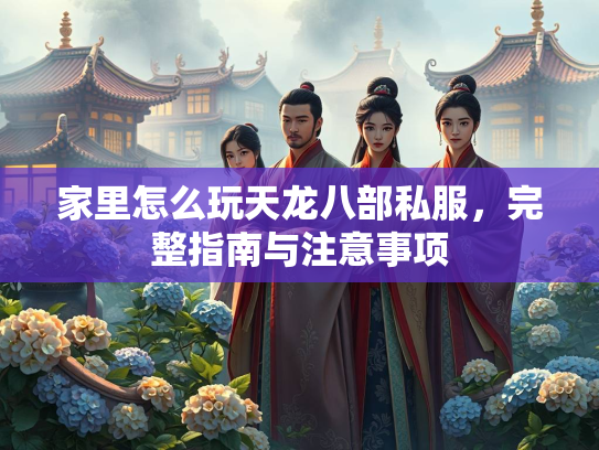 家里怎么玩天龙八部私服，完整指南与注意事项  第1张