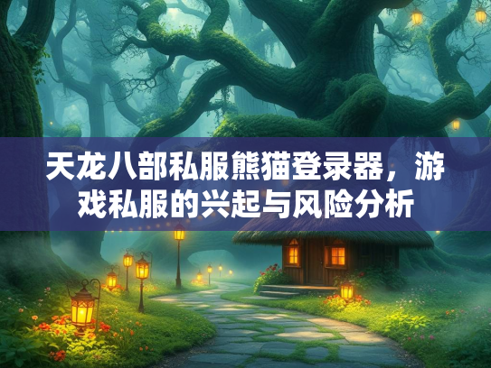 天龙八部私服熊猫登录器，游戏私服的兴起与风险分析