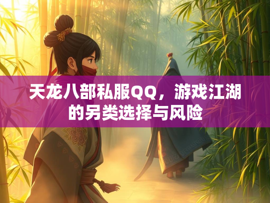 天龙八部私服QQ，游戏江湖的另类选择与风险