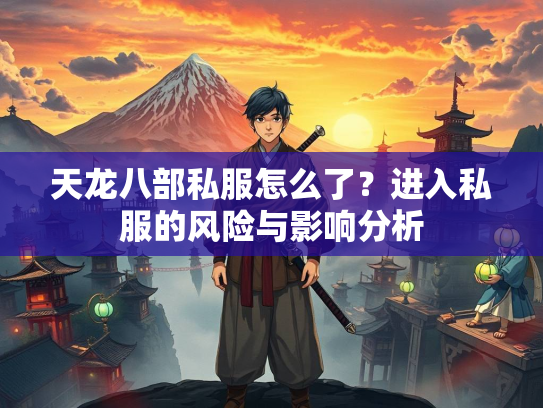 天龙八部私服怎么了？进入私服的风险与影响分析  第2张