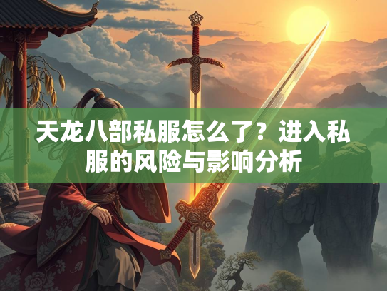 天龙八部私服怎么了？进入私服的风险与影响分析
