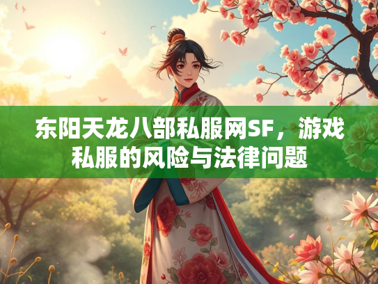 东阳天龙八部私服网SF，游戏私服的风险与法律问题  第2张