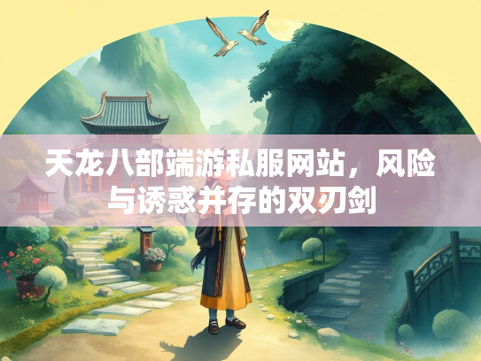 天龙八部端游私服网站，风险与诱惑并存的双刃剑  第2张