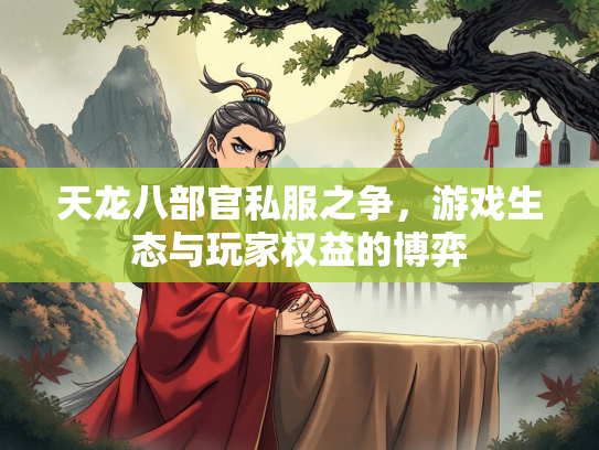 天龙八部官私服之争，游戏生态与玩家权益的博弈  第1张