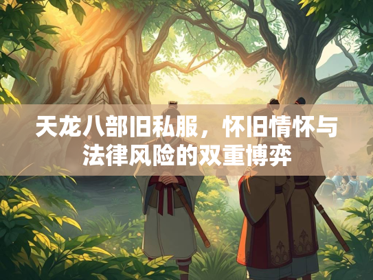 天龙八部旧私服，怀旧情怀与法律风险的双重博弈  第2张