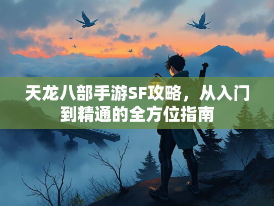 天龙八部手游SF攻略，从入门到精通的全方位指南  第2张