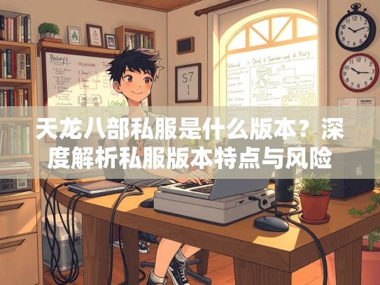 天龙八部私服是什么版本？深度解析私服版本特点与风险  第3张
