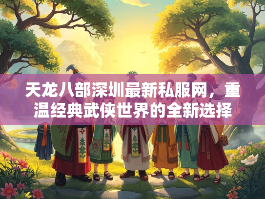 天龙八部深圳最新私服网，重温经典武侠世界的全新选择
