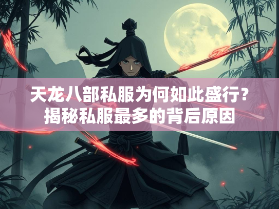 天龙八部私服为何如此盛行？揭秘私服最多的背后原因  第3张