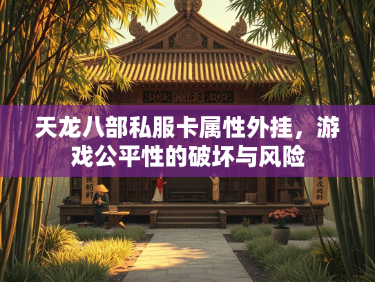 天龙八部私服卡属性外挂，游戏公平性的破坏与风险  第3张