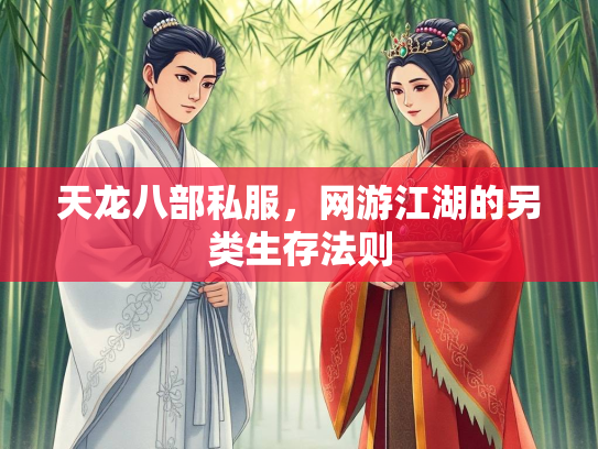 天龙八部私服，网游江湖的另类生存法则  第2张