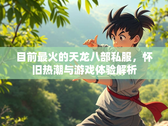 目前最火的天龙八部私服，怀旧热潮与游戏体验解析  第2张