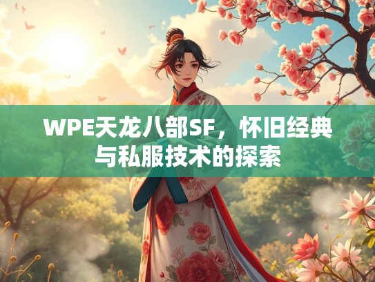 WPE天龙八部SF，怀旧经典与私服技术的探索  第3张