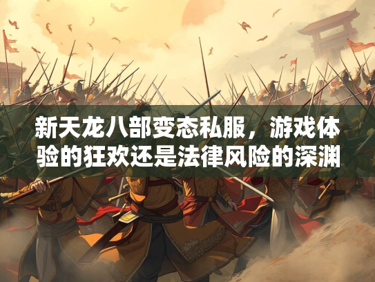新天龙八部变态私服，游戏体验的狂欢还是法律风险的深渊？  第1张
