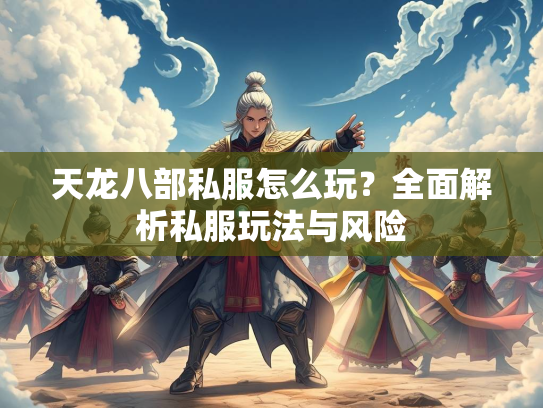 天龙八部私服怎么玩？全面解析私服玩法与风险  第3张