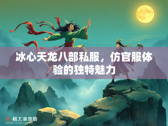 冰心天龙八部私服，仿官服体验的独特魅力  第2张
