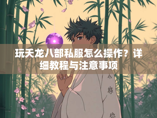 玩天龙八部私服怎么操作？详细教程与注意事项  第2张