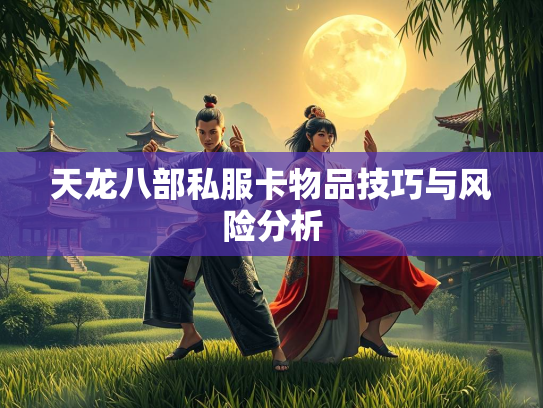 天龙八部私服卡物品技巧与风险分析  第3张